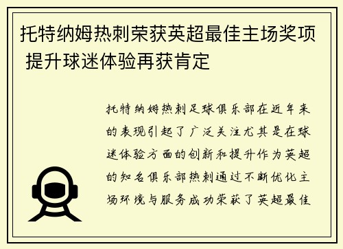 托特纳姆热刺荣获英超最佳主场奖项 提升球迷体验再获肯定